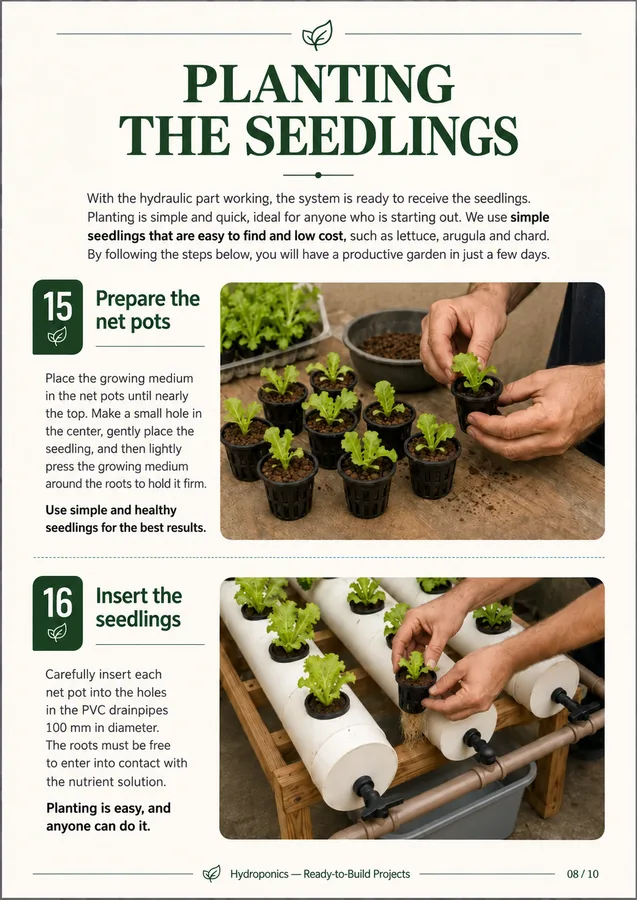 Page 8 — Planting the seedlings